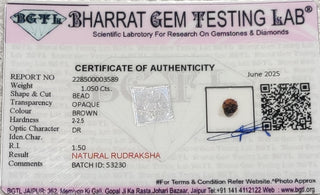 Rudraksh lab certificate 4